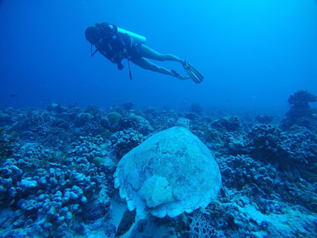 Sandy Heaven Maldives Bãi biển Bãi biển Gulhi Ngoại thất bức ảnh