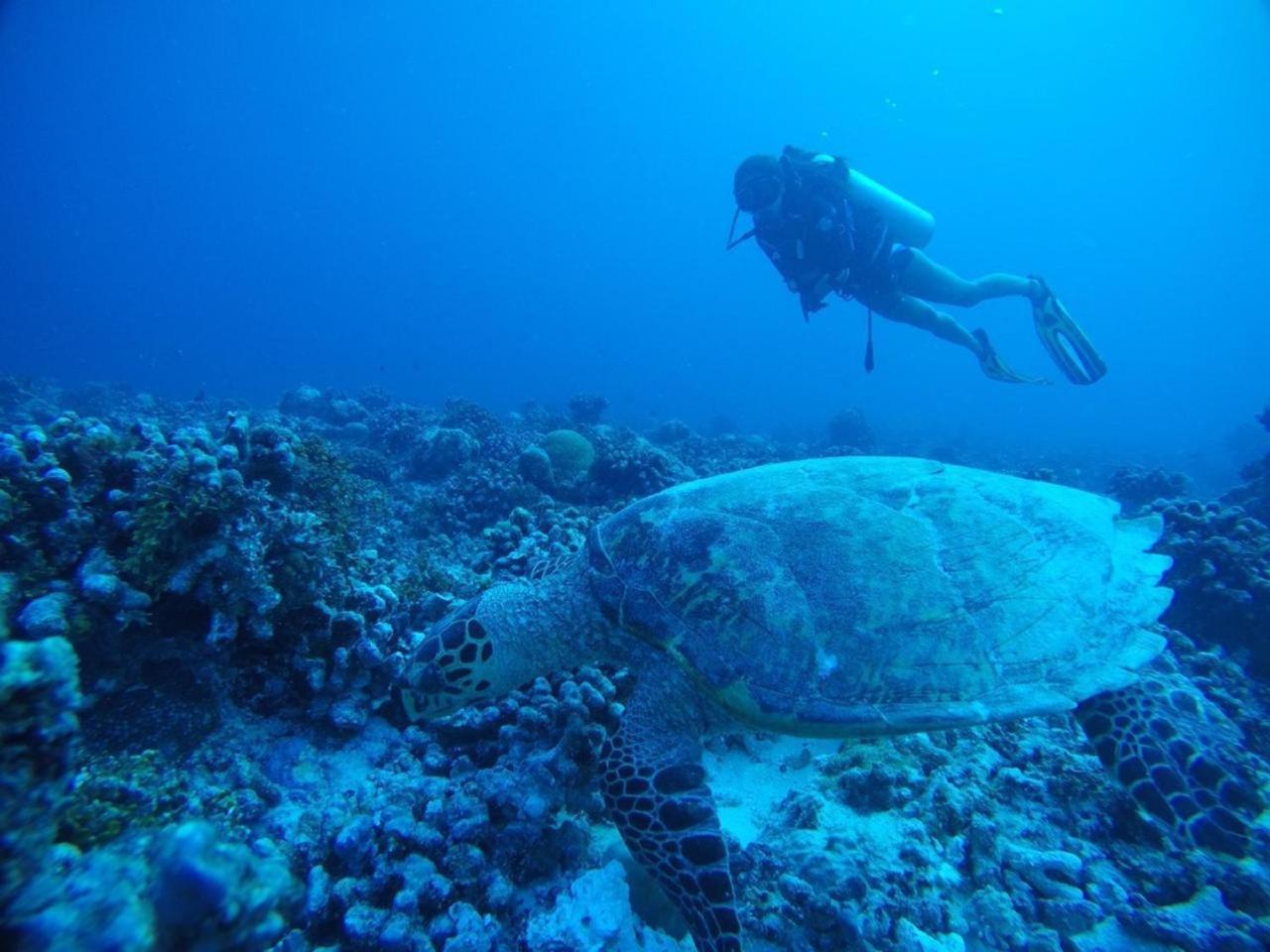 Sandy Heaven Maldives Bãi biển Bãi biển Gulhi Ngoại thất bức ảnh